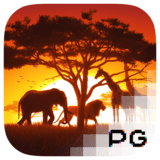 safariwilds